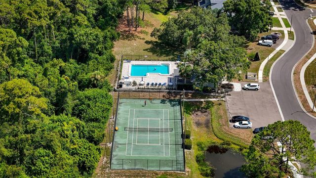 3174 PHLOX DRIVE, Palm Harbor, FL 34684