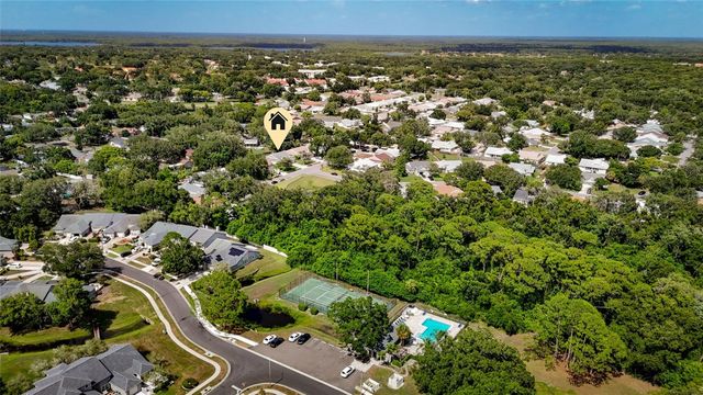 3174 PHLOX DRIVE, Palm Harbor, FL 34684