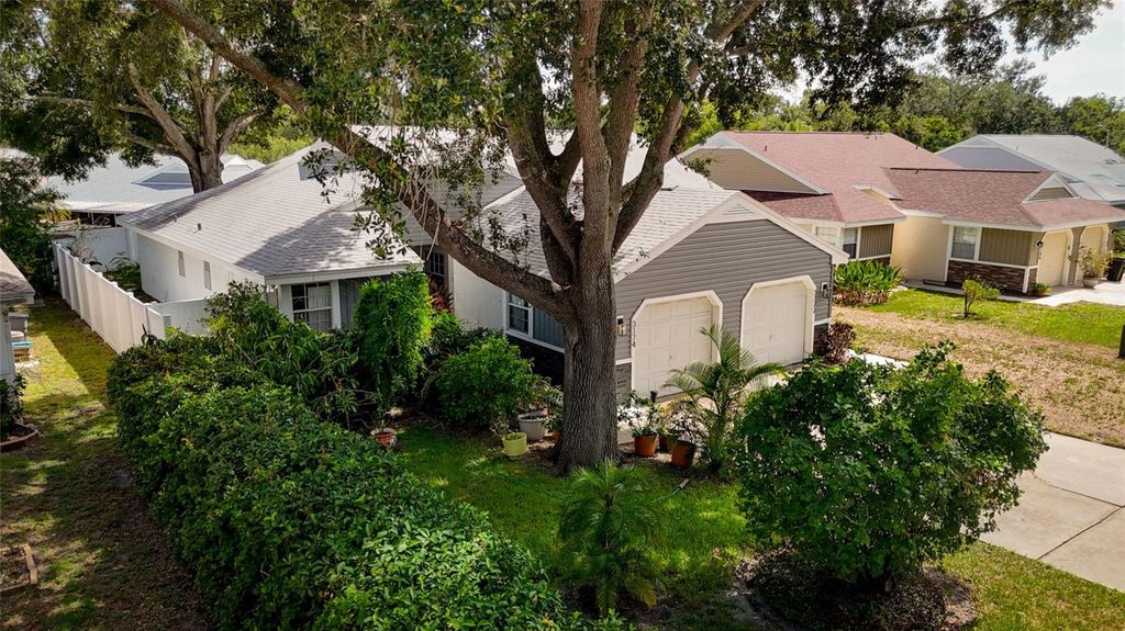 3174 PHLOX DRIVE, Palm Harbor, FL 34684