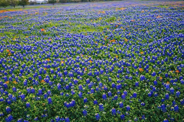 2258 County Road 316, Navasota, TX 77868