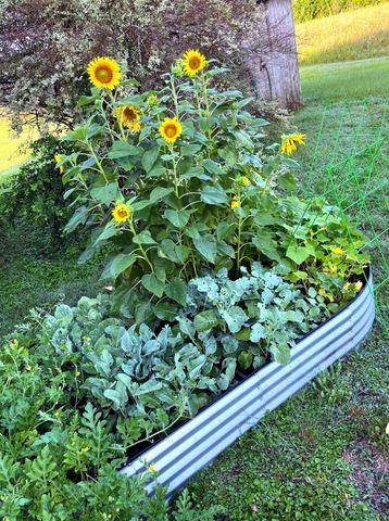 2258 County Road 316, Navasota, TX 77868