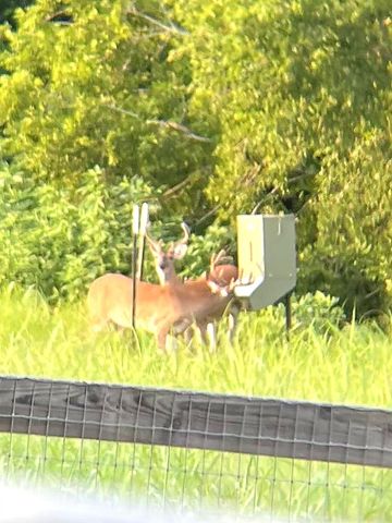 2258 County Road 316, Navasota, TX 77868