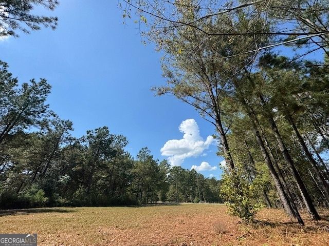 2470 Kitchen Road, Dexter, GA 31019