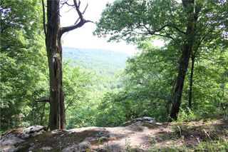 4918 County Road 501, Berryville, AR 72616