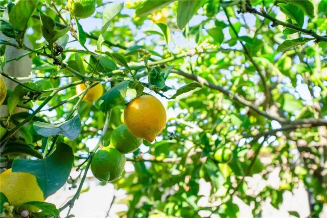 1550 Rimpau 52, Corona, CA 92881