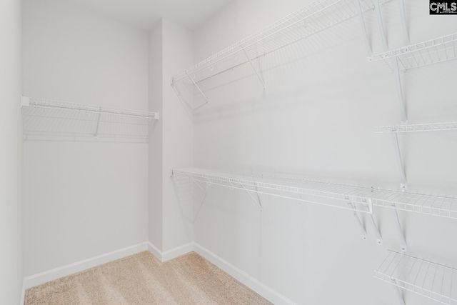 242 Horse Farm Place, Lexington, SC 29072