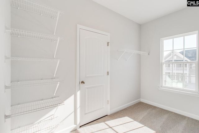 242 Horse Farm Place, Lexington, SC 29072