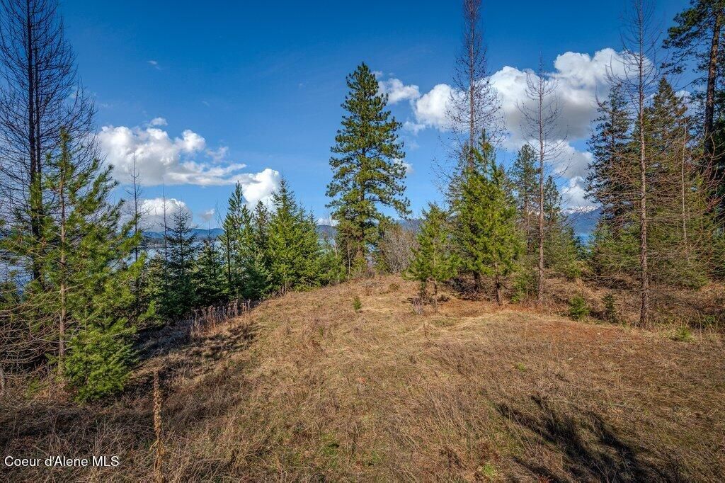 477 Big Pine Drive - 5.6 Acres, Sagle, ID 83860 photo 82
