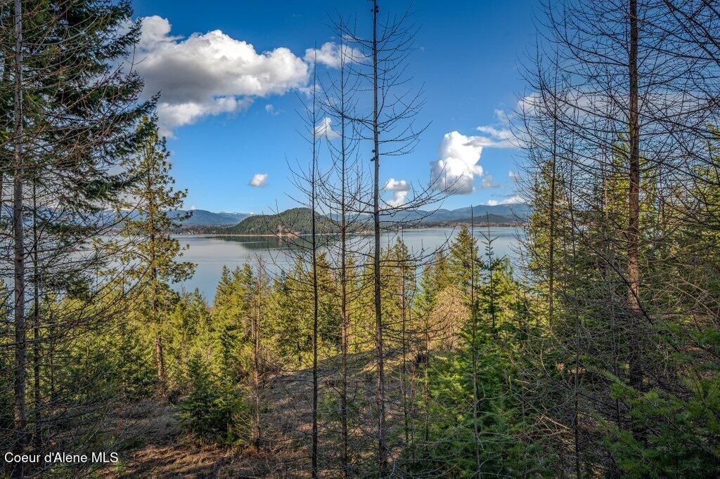 477 Big Pine Drive - 5.6 Acres, Sagle, ID 83860 photo 83