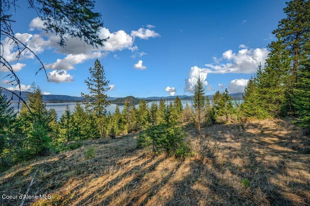 477 Big Pine Drive - 5.6 Acres, Sagle, ID 83860 photo 84