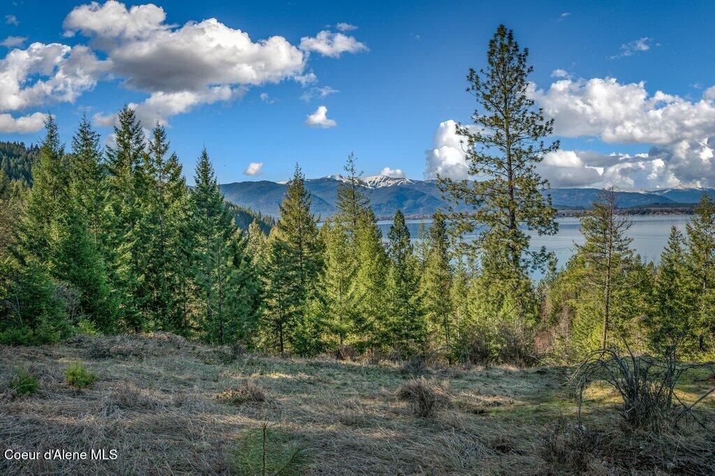 477 Big Pine Drive - 5.6 Acres, Sagle, ID 83860 photo 85