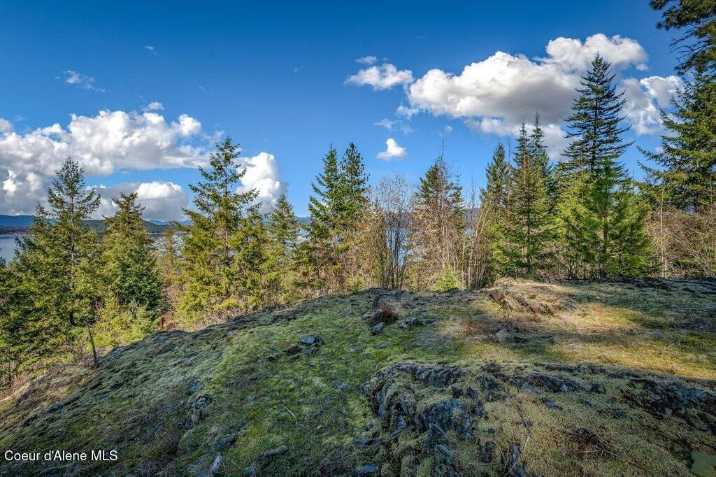 477 Big Pine Drive - 5.6 Acres, Sagle, ID 83860 photo 86