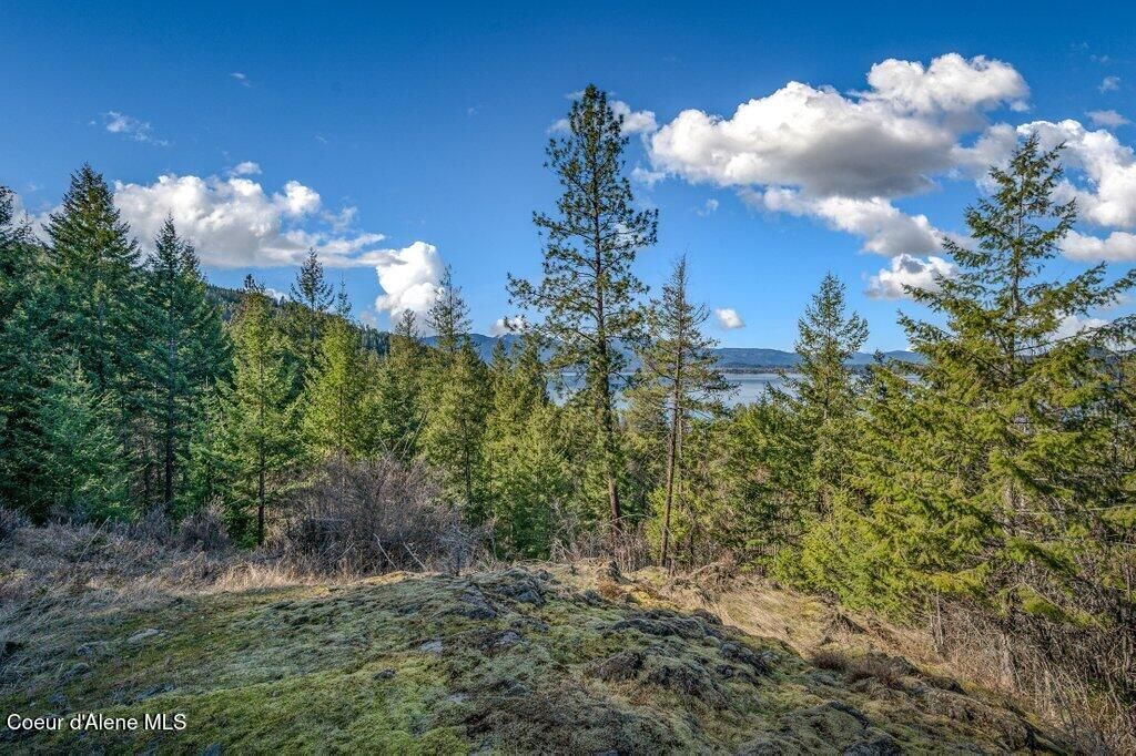 477 Big Pine Drive - 5.6 Acres, Sagle, ID 83860 photo 87