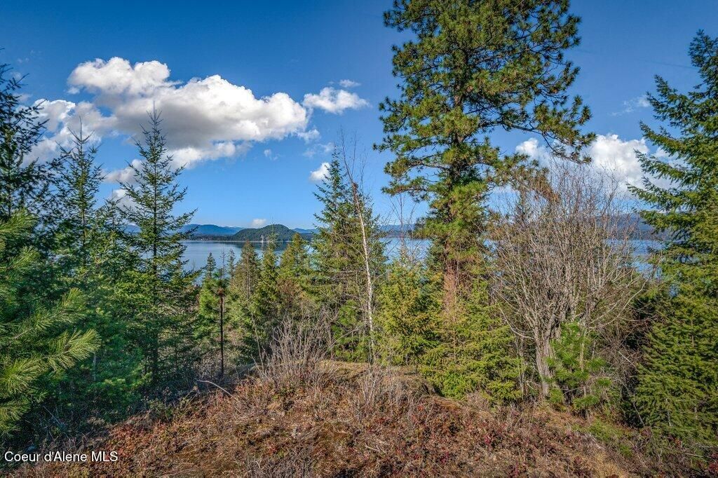 477 Big Pine Drive - 5.6 Acres, Sagle, ID 83860 photo 88