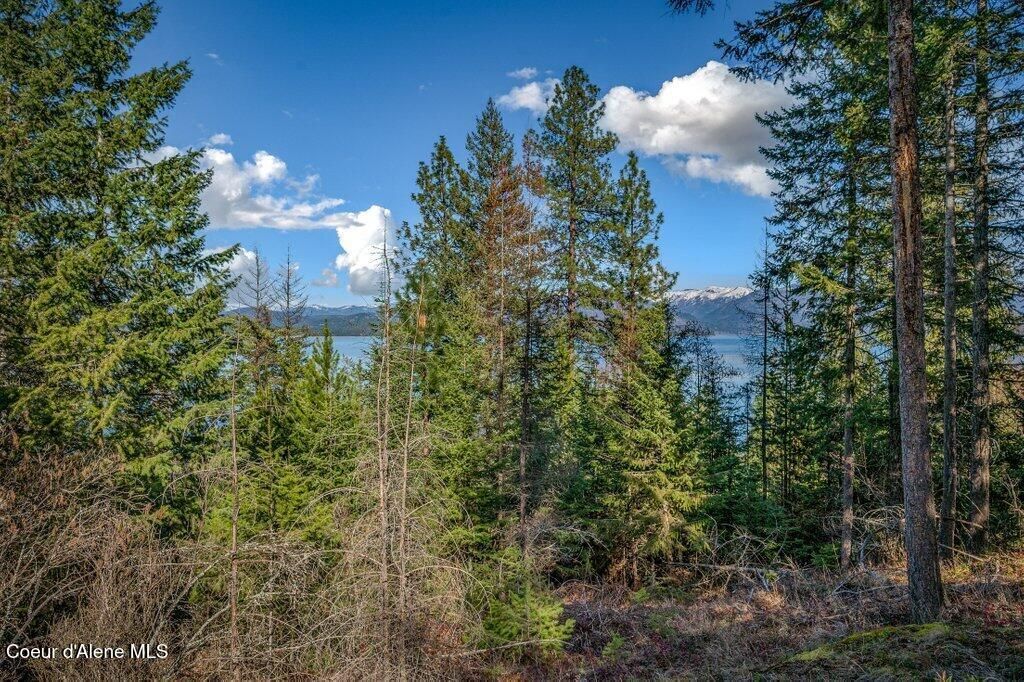 477 Big Pine Drive - 5.6 Acres, Sagle, ID 83860 photo 89