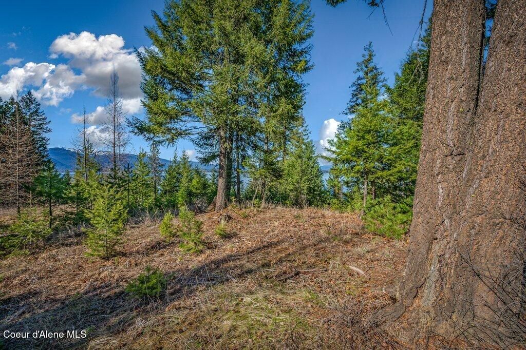 477 Big Pine Drive - 5.6 Acres, Sagle, ID 83860 photo 90