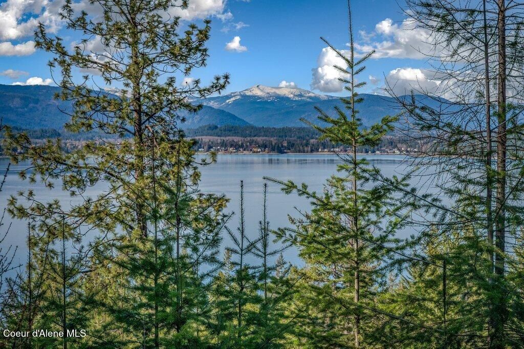 477 Big Pine Drive - 5.6 Acres, Sagle, ID 83860 photo 91