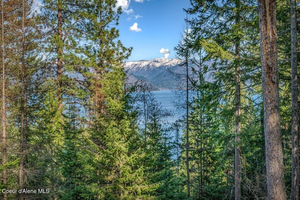 477 Big Pine Drive - 5.6 Acres, Sagle, ID 83860 photo 94