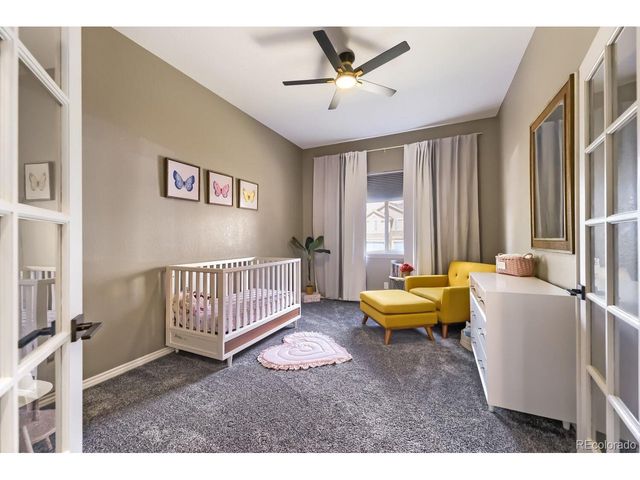 1872 Graphite Ct, Castle Rock, CO 80108