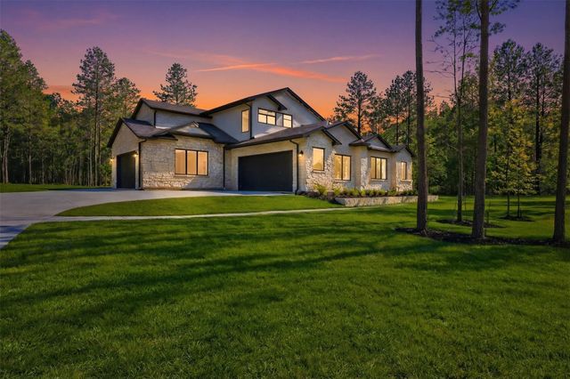 25043 Balmorhea Way, Montgomery, TX 77316