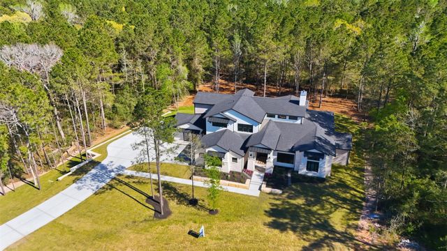 25043 Balmorhea Way, Montgomery, TX 77316