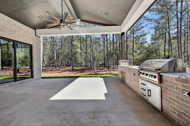 25043 Balmorhea Way, Montgomery, TX 77316