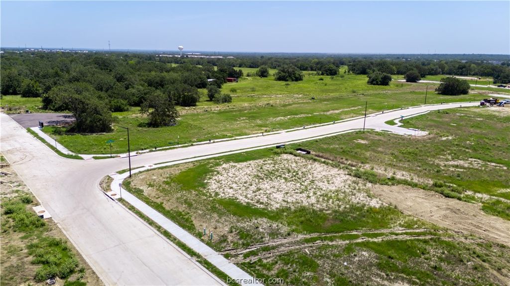4520 Legendary Drive, College Station, TX 77845 — photo 3