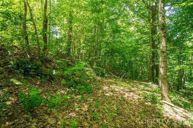 71 Timberwood Drive, Asheville, NC 28806