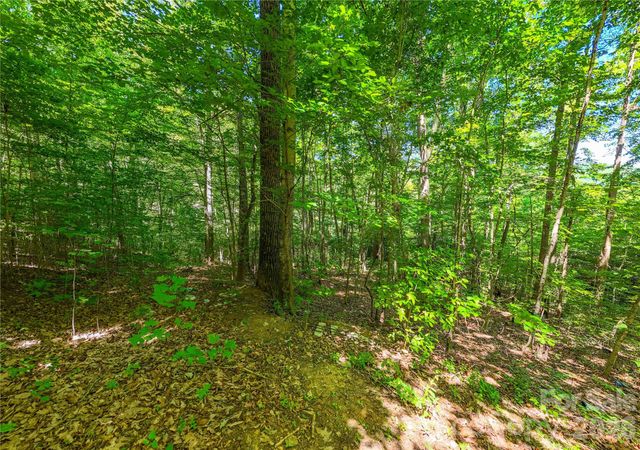 71 Timberwood Drive, Asheville, NC 28806