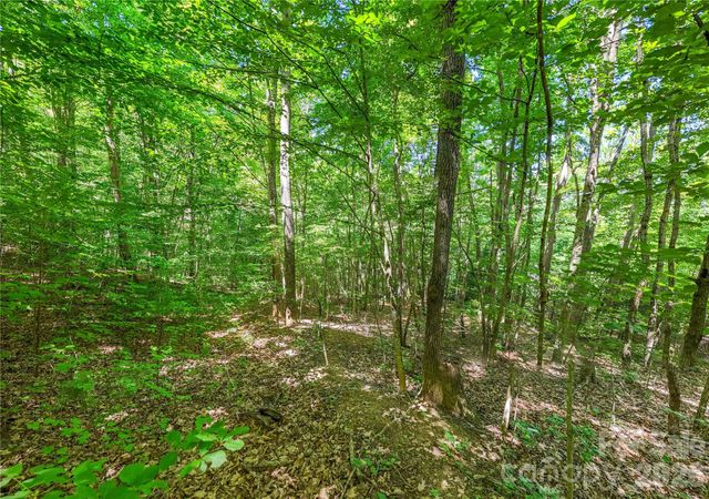 71 Timberwood Drive, Asheville, NC 28806