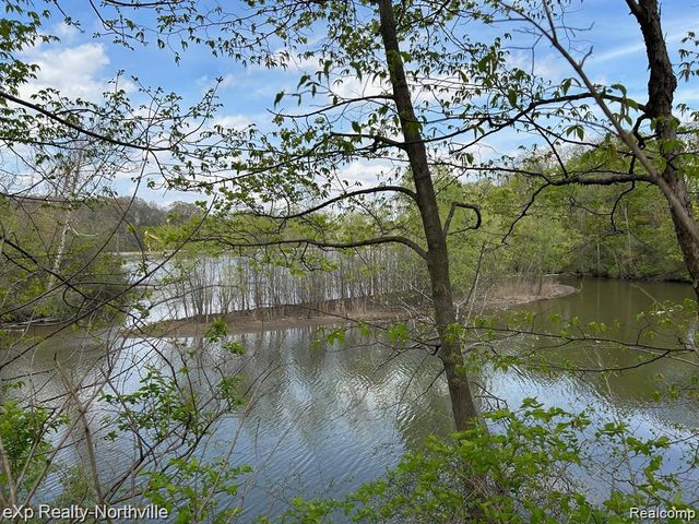 1103 N MILL Street, Plymouth, MI 48170