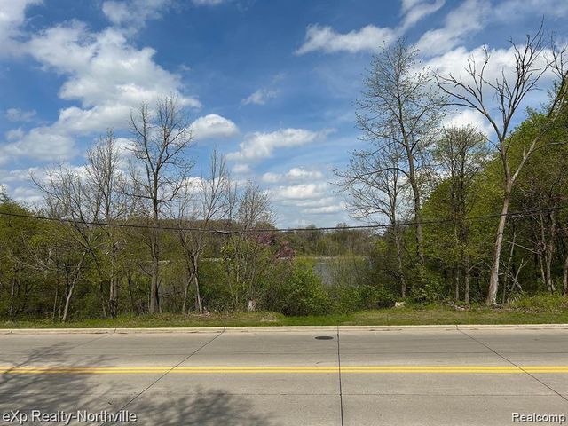 1103 N MILL Street, Plymouth, MI 48170