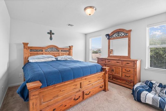 10884 S Lake Mist Lane, Willis, TX 77318