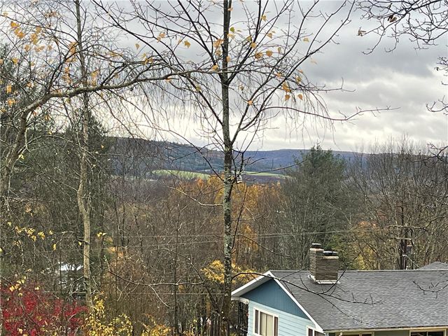 10 Jericho Road, Bainbridge, NY 13733