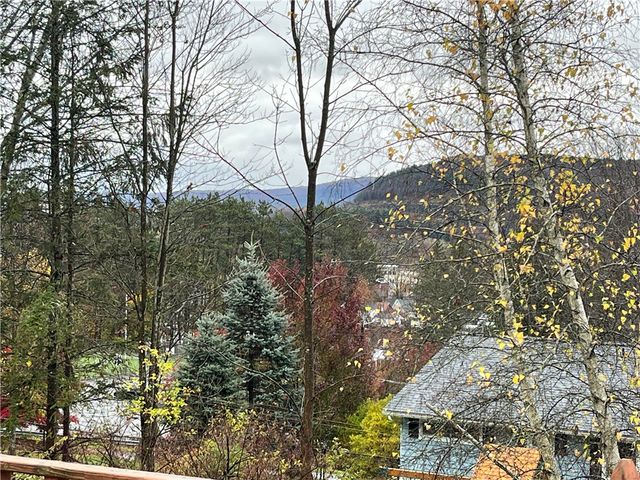 10 Jericho Road, Bainbridge, NY 13733