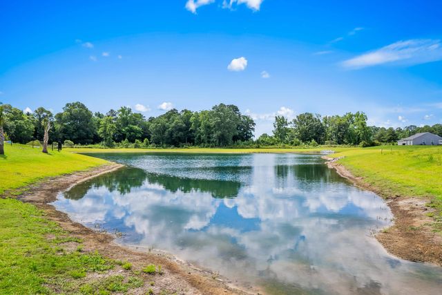 304 Picnic Basket Pl., Longs, SC 29568