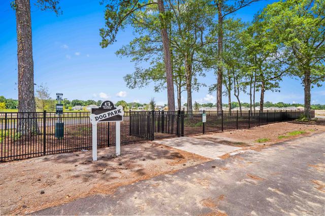304 Picnic Basket Pl., Longs, SC 29568