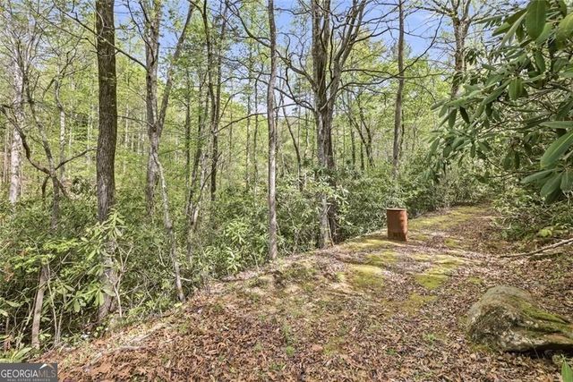 257 Foothills Drive, Cleveland, GA 30528