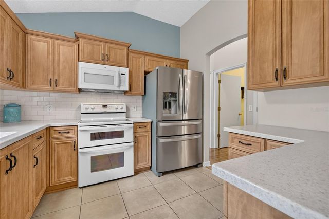 1911 DEL NORTE DRIVE, The Villages, FL 32159