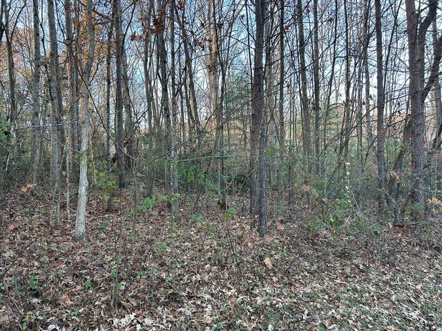 Lot 11 Tombstone Drive, Blairsville, GA 30512
