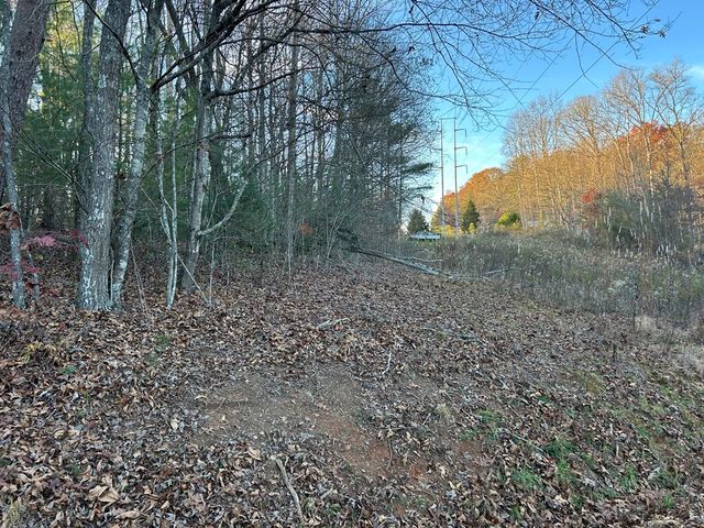 Lot 11 Tombstone Drive, Blairsville, GA 30512