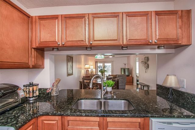 1393 CADHAY COURT, Safety Harbor, FL 34695