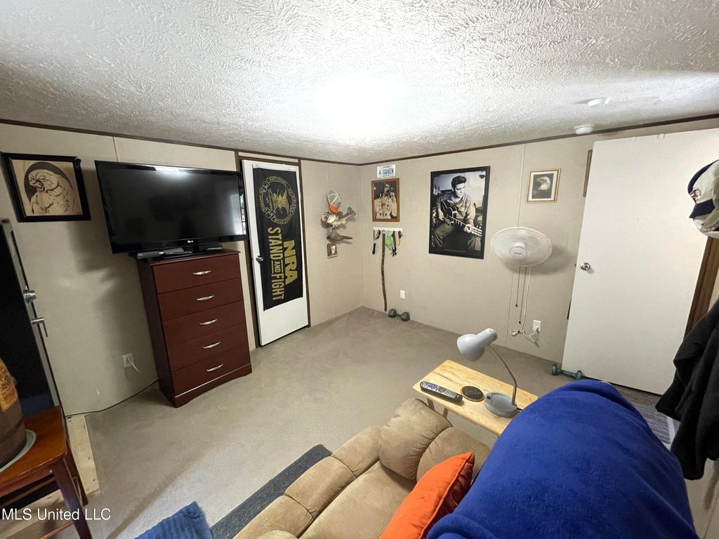 315 Young Road, Byhalia, MS 38611 — photo 5