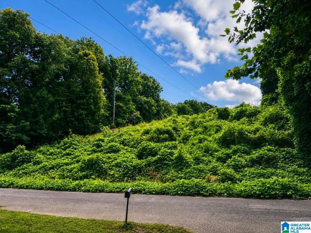 416 WADSWORTH DRIVE, Birmingham, AL 35214