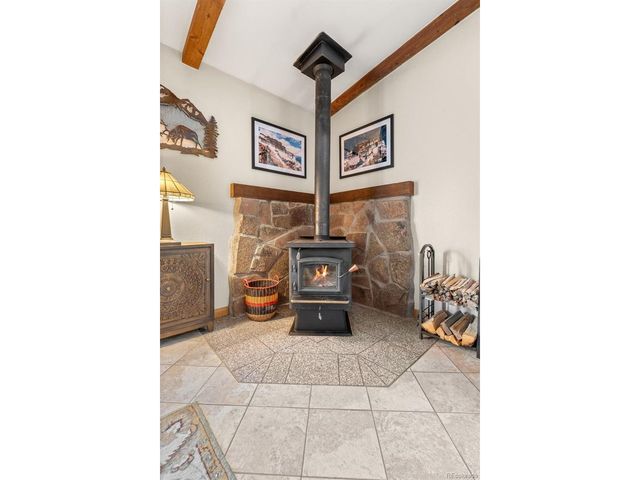 181 Catamount Ridge Rd, Bailey, CO 80421