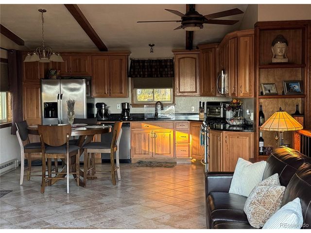 181 Catamount Ridge Rd, Bailey, CO 80421