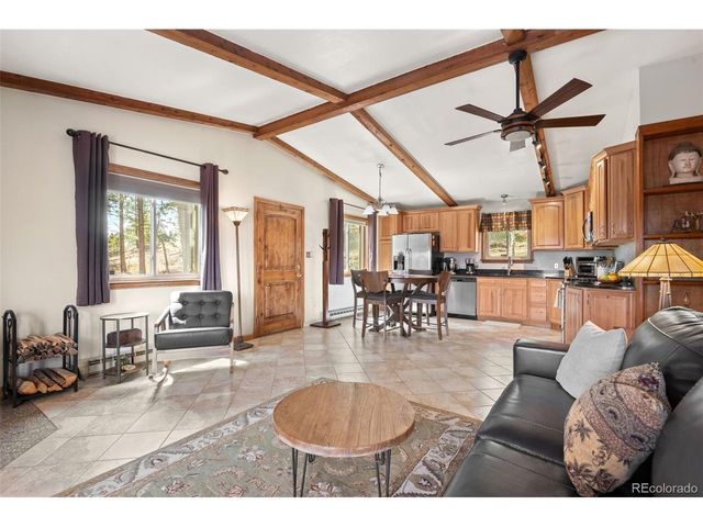 181 Catamount Ridge Rd, Bailey, CO 80421