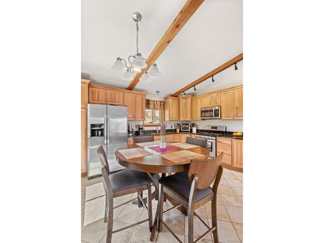 181 Catamount Ridge Rd, Bailey, CO 80421