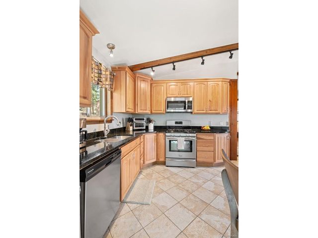 181 Catamount Ridge Rd, Bailey, CO 80421