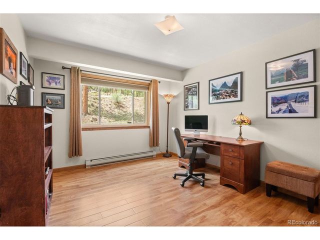 181 Catamount Ridge Rd, Bailey, CO 80421